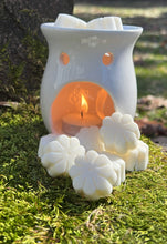 Load image into Gallery viewer, WAX MELTS